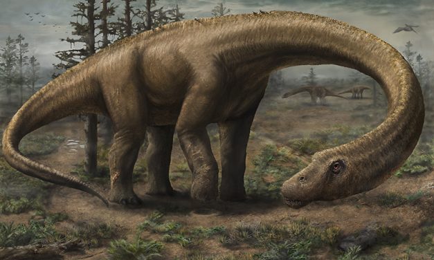 Most Complete Giant Sauropod Skeleton Ever Discovered