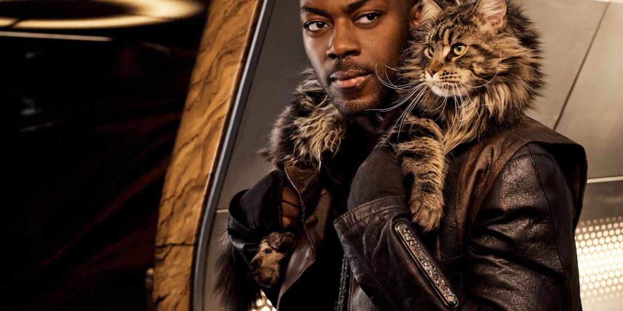 Grudge the Cat Joins the Cast of ‘Star Trek: Discovery’