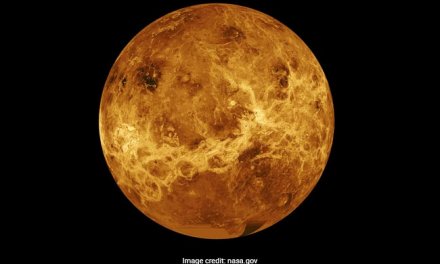 Possible Life Signs Discovered in the Clouds of Venus