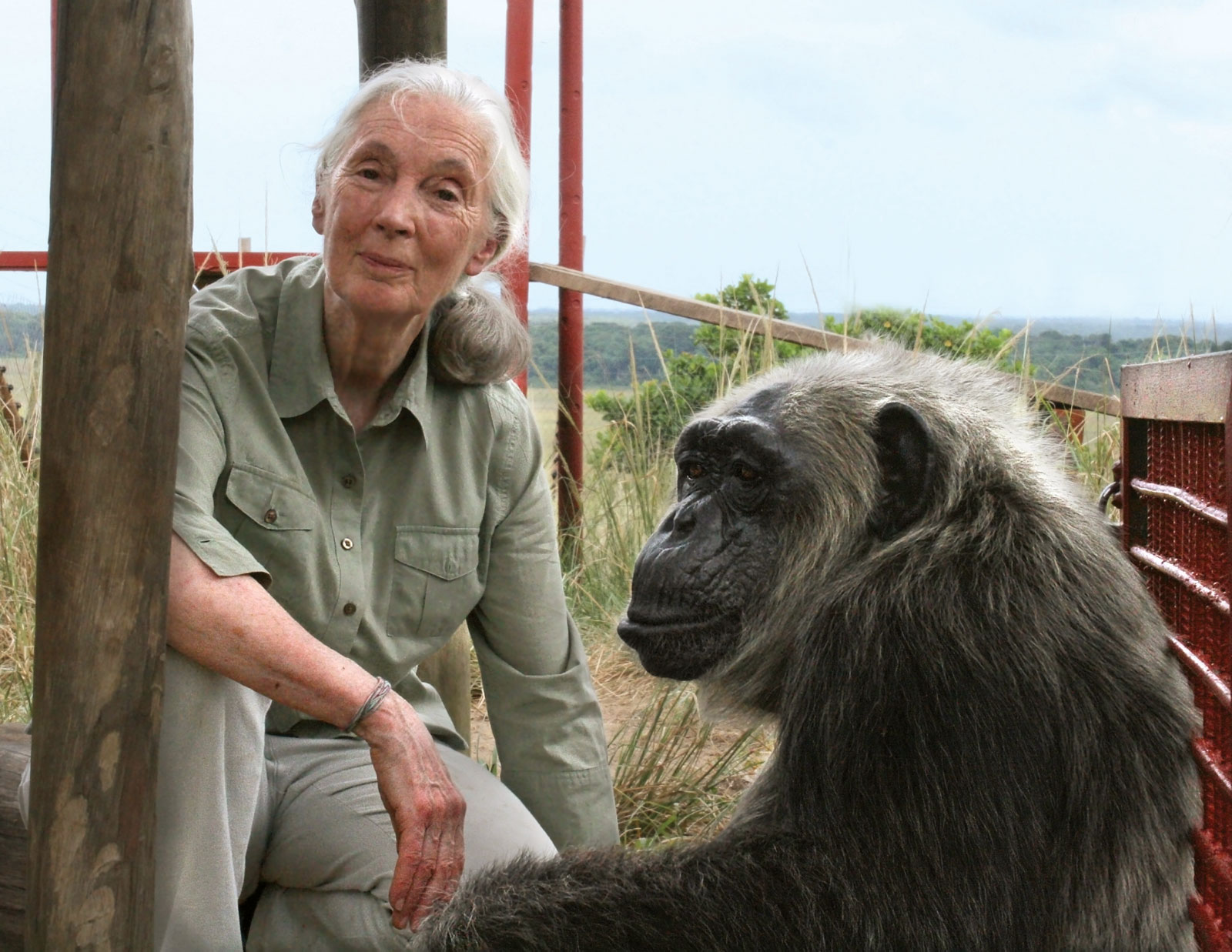 Jane Goodall Wins the Templeton Prize