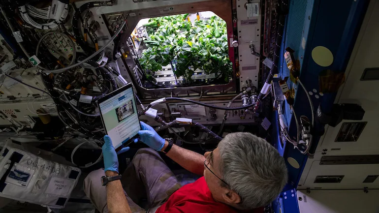 Chile Peppers Aboard the I.S.S. – Growing Food in Space