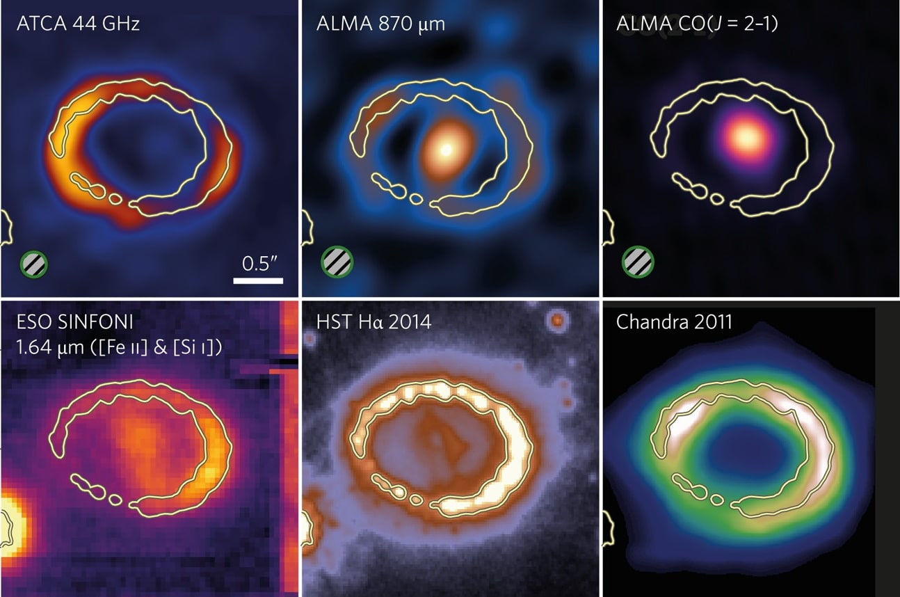 Giant Supernova “X-rays” the Entire Universe