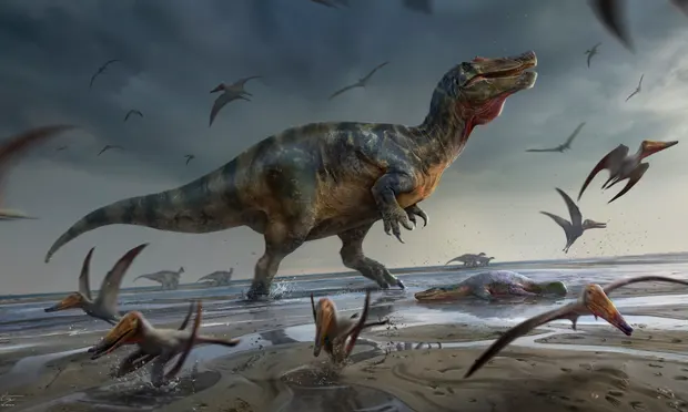 Giant Spinosaur Fossil Found on the Isle of Wight