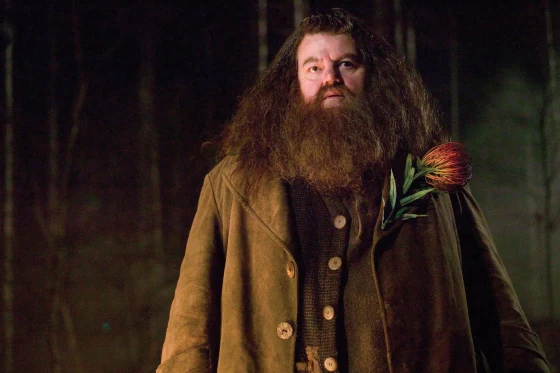 Farewell, Robbie Coltrane, Harry Potter’s Hagrid