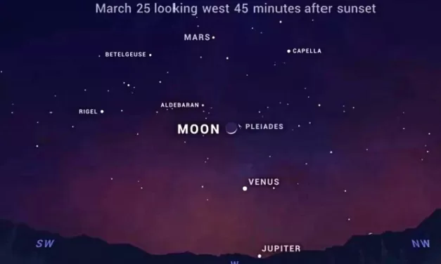 Planetary Parade Tuesday Evening