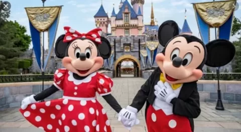disneyland mickey and minny mouse