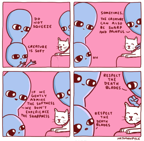 Tips on Cat Care: “Respect the Death Blades”