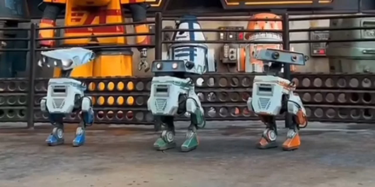 Droids-In-Training Play At Galaxy’s Edge