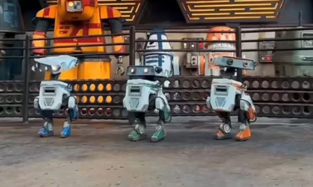 Droids-In-Training Play At Galaxy’s Edge