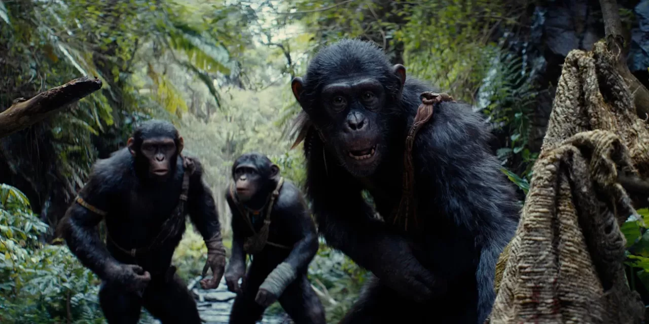 Kingdom of the Planet of the Apes | Official Trailer