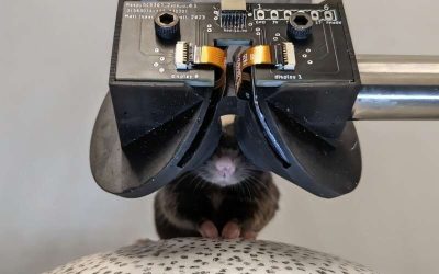 Virtual Reality For Mice: MouseGoggles are Here!