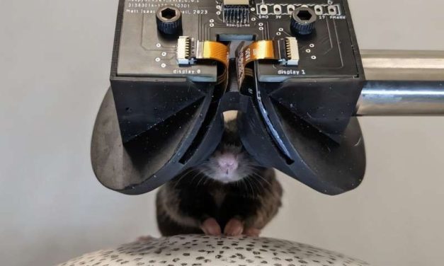 Virtual Reality For Mice: MouseGoggles are Here!