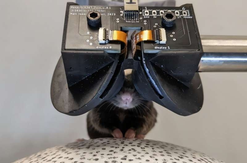 Virtual Reality For Mice: MouseGoggles are Here!