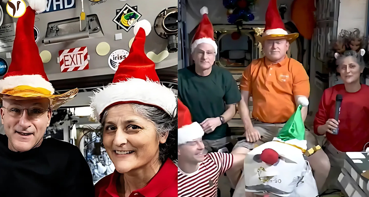 NASA: A Christmas Wish from Space | 2024