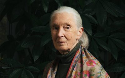 We Announce, with Sadness, the Passing of Dr. Jane Goodall