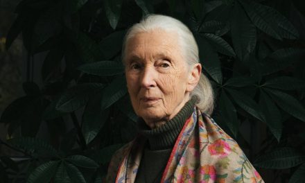 We Announce, with Sadness, the Passing of Dr. Jane Goodall