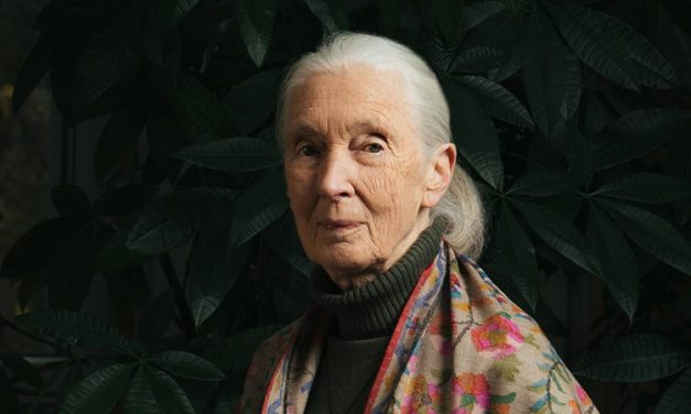 We Announce, with Sadness, the Passing of Dr. Jane Goodall
