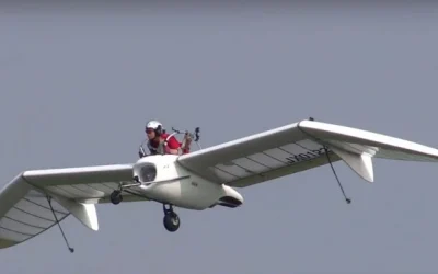 Nausicaa of the Valley of the Wind’s Mehve Glider in Real Life