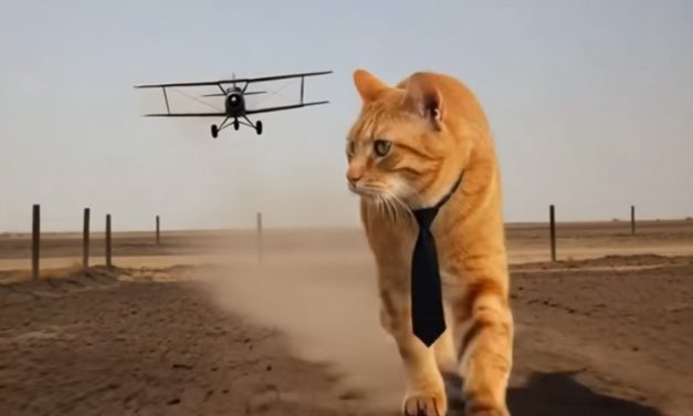 Video of the Day | Alfred Hitchcat