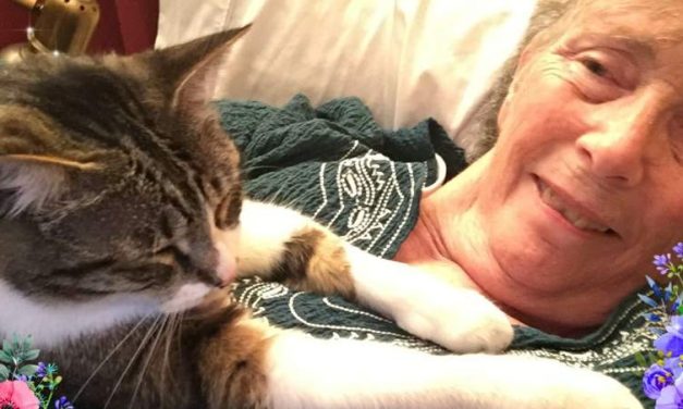 RIP Tera Mitchel (1951—2026)