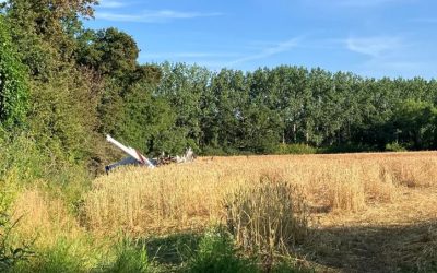 Ubisoft Co-Founder Claude Guillomot Dies in Plane Crash