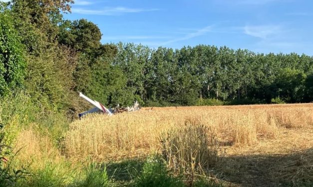 Ubisoft Co-Founder Claude Guillomot Dies in Plane Crash
